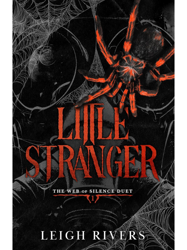 Little Stranger (Web of Silence #1) | Leigh Rivers