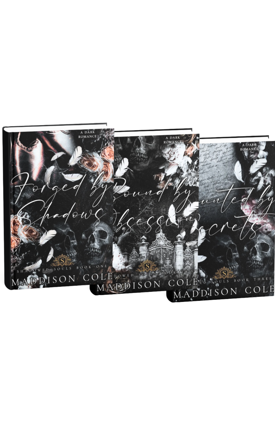 The Shadowed Souls Series