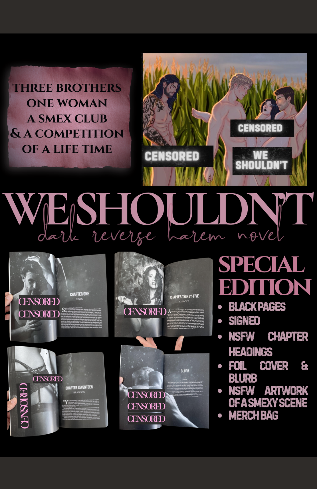 We Shouldn't | Special Edition