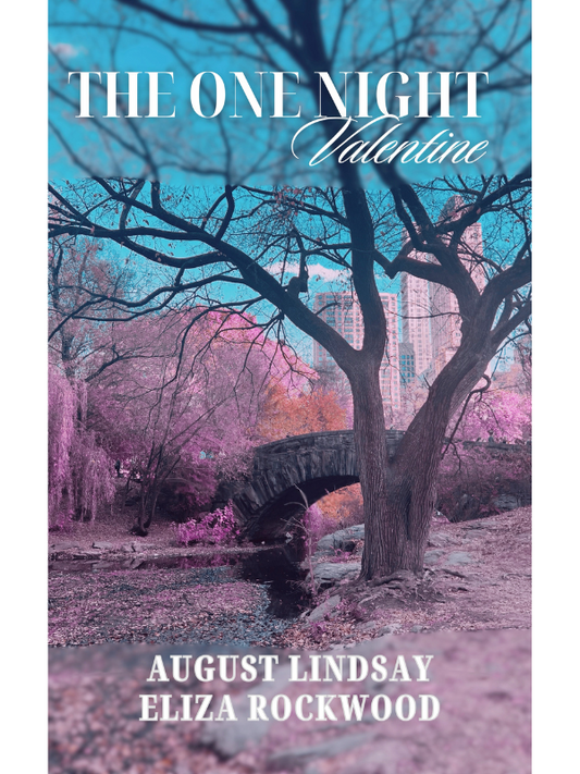 The One Night Valentine | An Enemies to Lovers Short Rom-Com | Eliza Rockwood