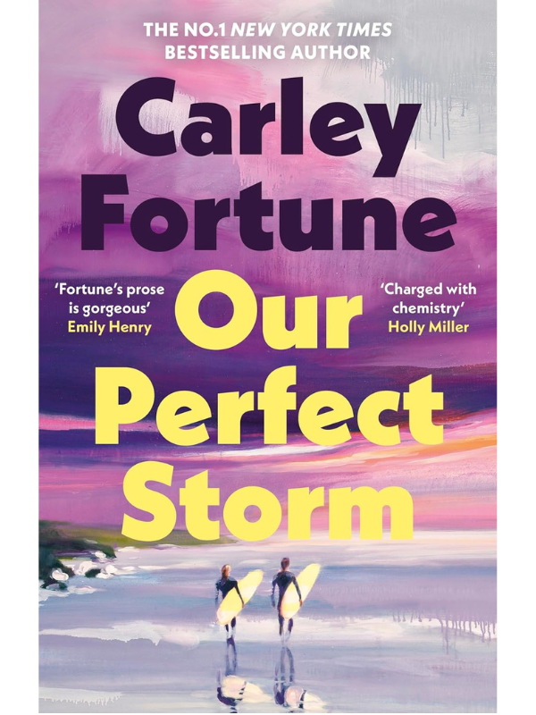 Our Perfect Storm | Carley Fortune
