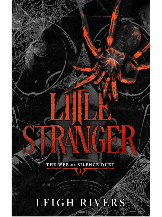 Little Stranger (Web of Silence #1) | Leigh Rivers