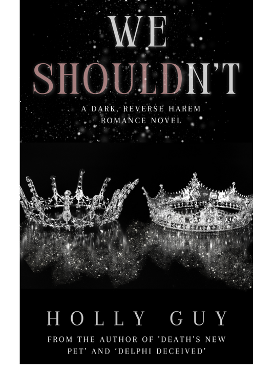 We Shouldn't | Holly Guy