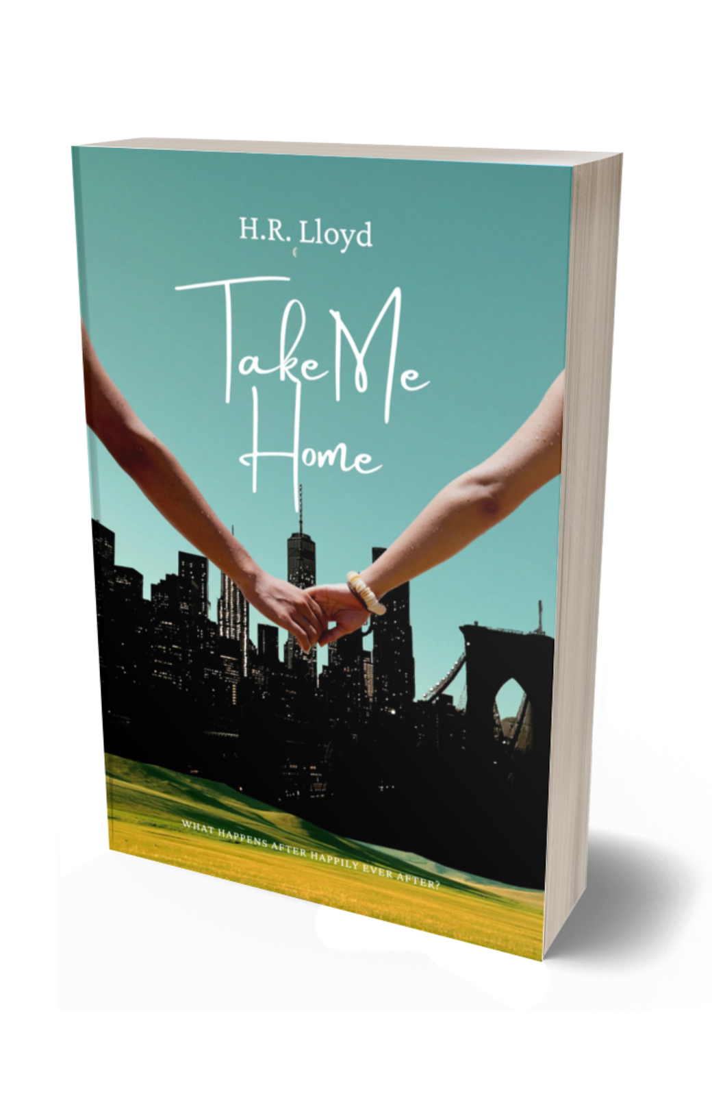 Take Me Home
