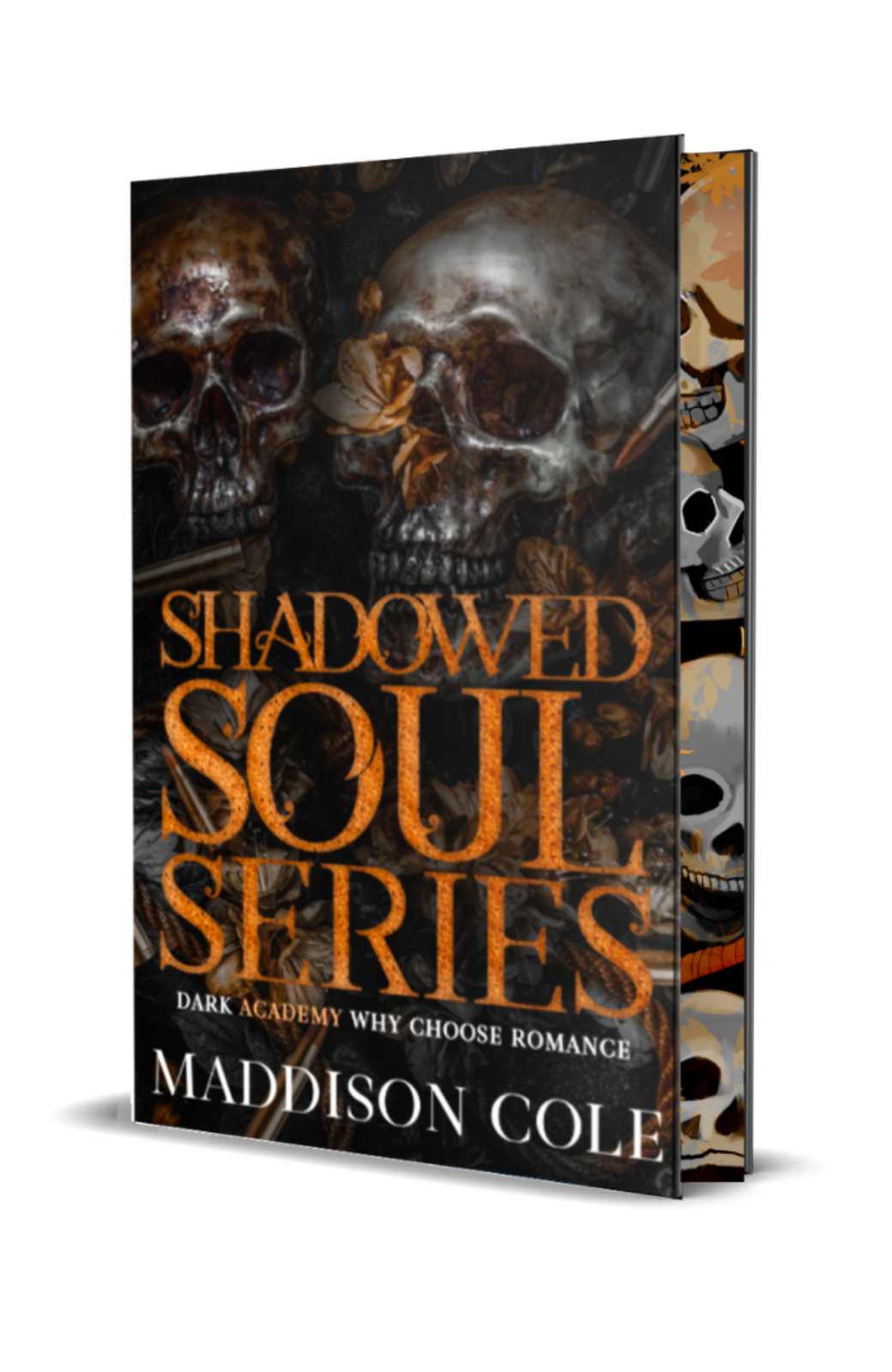 The Shadowed Souls Series