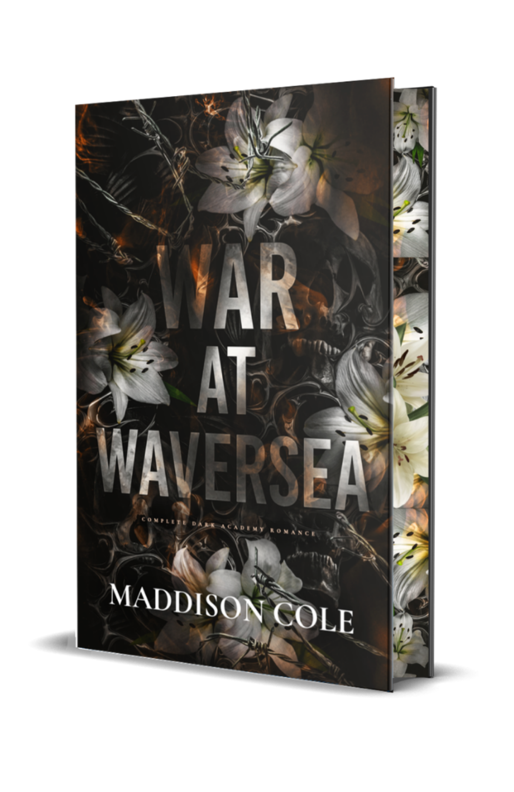 The War of Waversea Series