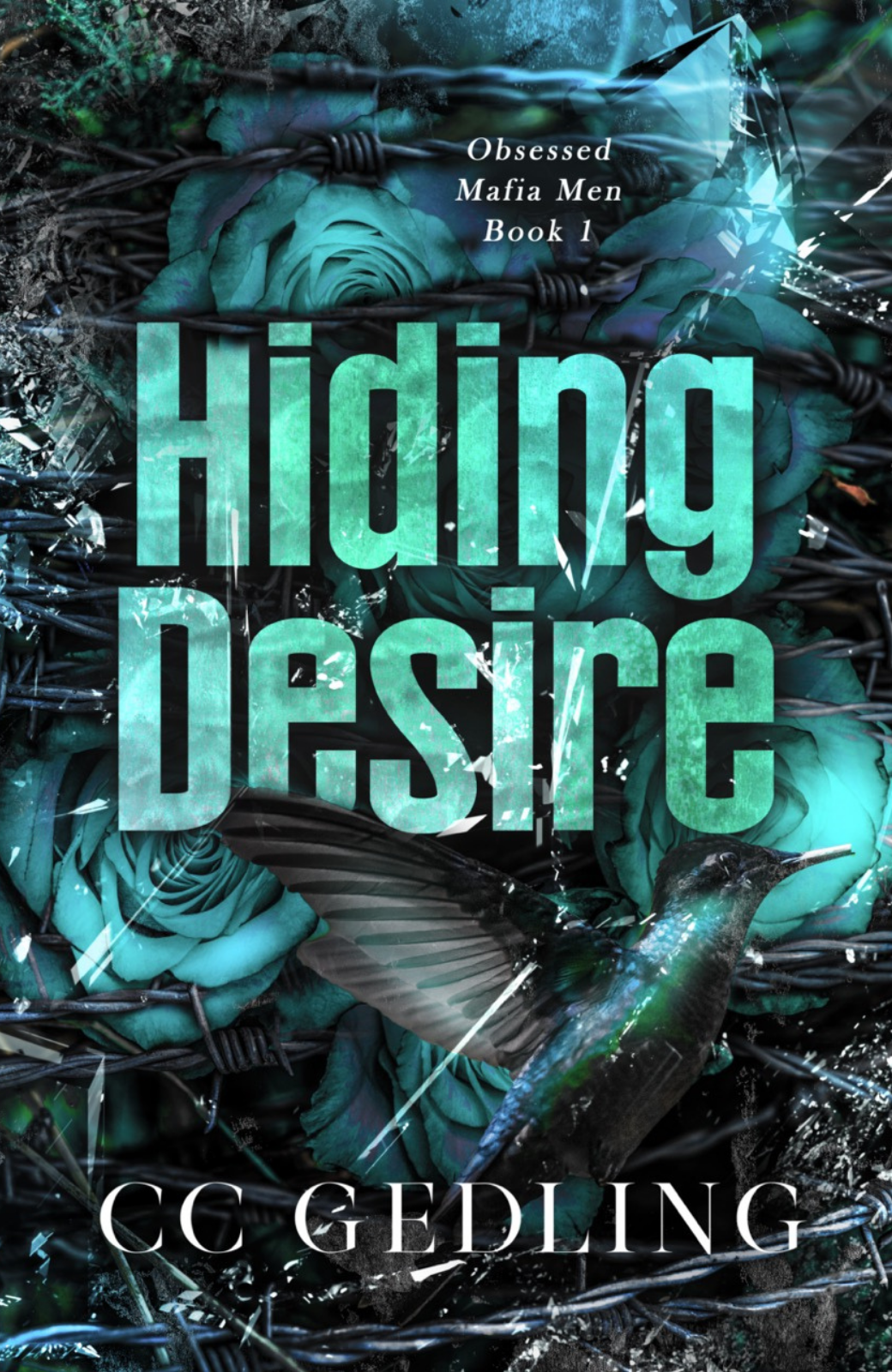 Hiding Desire | HF 27