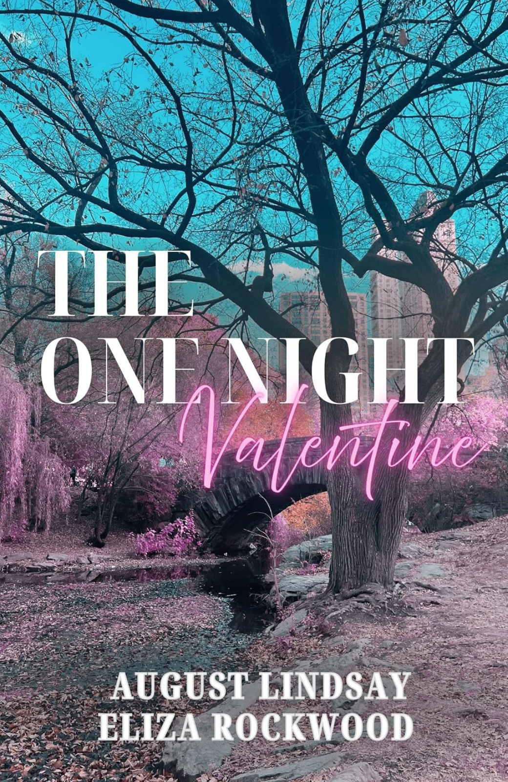 The One Night Valentine (EB)